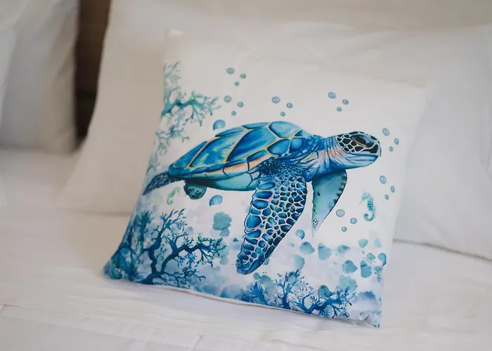 Casa Esperanza 別荘 *